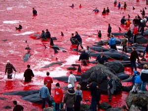 Mar de Sangue1