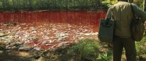 Rios de Sangue