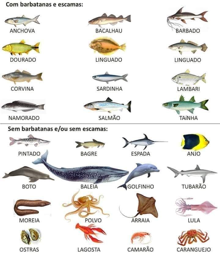 Peixes Com Escamas e Sem Escamas – Adventismo em Foco