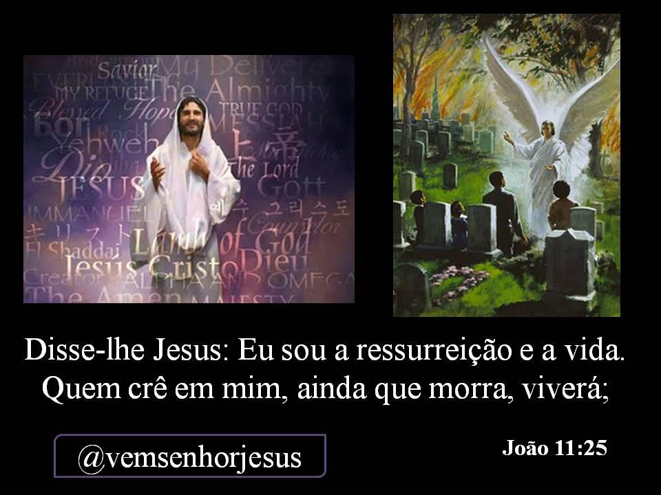 Ressurreição Total