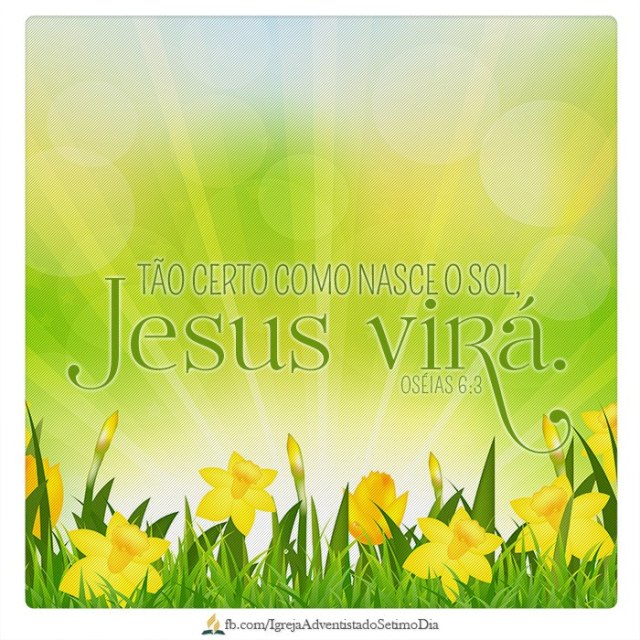jesus certamente vira