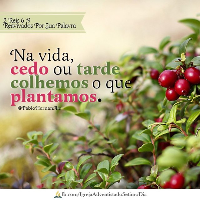 colhemos o que plantamos