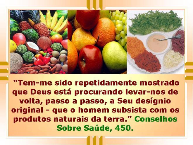 alimentos ellen white conselhos