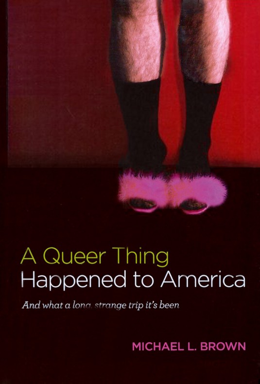 gay livro