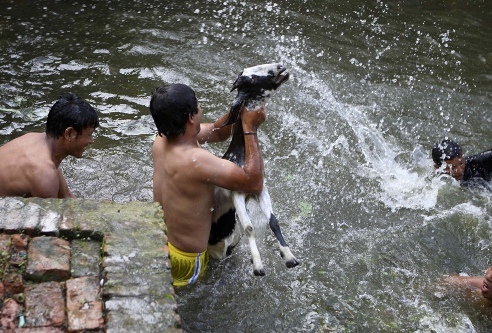 nepal sacrificio2
