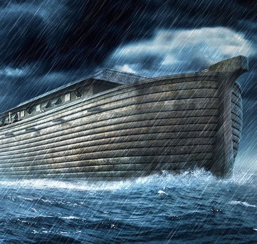 arca de noe perfeita