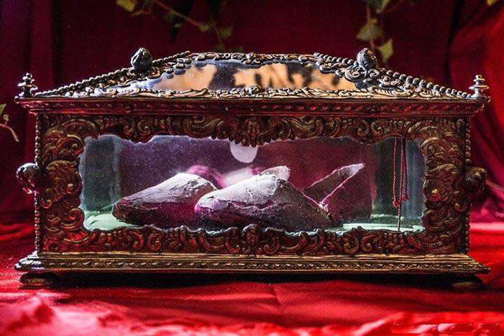 cadaver santa lucia adoracao5