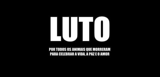 luto animais