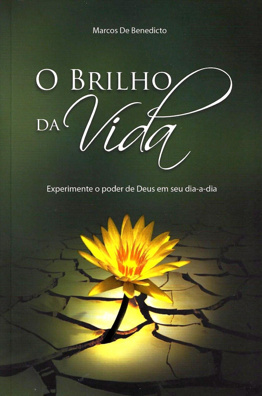 brilho da vida
